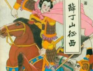 薛丁山征西第49回：苏宝同布金光阵，樊元帅连夜抢关