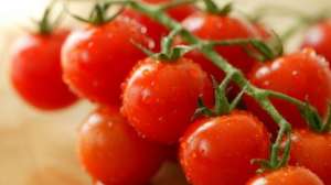 圣女果为什么叫圣女果？这个名字的由来是什么？