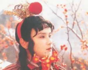 红楼梦中贾府的冬日是什么样的一幅景象？