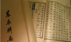 《农桑辑要》：药草·苜蓿 全文及翻译注释