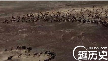 搜狗截图16年11月13日0955_63.jpg