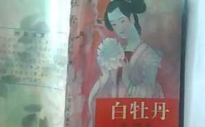 《白牡丹》第三十二回：权势败无人收宿　运气来留客成功