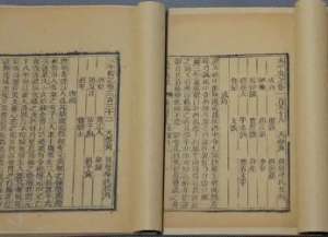 太平广记·卷九十七·异僧·从谏如何翻译？原文是什么内容？