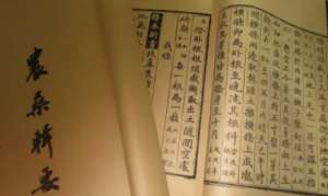 《农桑辑要》：药草·百合 全文及翻译注释