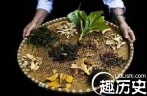 黎族医生是怎样用传统方法处理毒蛇咬伤的