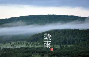 二十四节气中的“谷雨”从何而来？都有什么习俗呢？