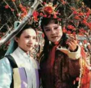 红楼梦中宝玉三天两头就要去栊翠庵，是因为什么？