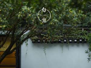 白露节气有什么风俗？白露“三候”指的是什么？