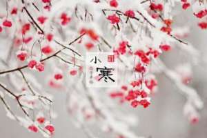 今年“小寒”是什么时候？“小寒”的典故和腊八粥的由来