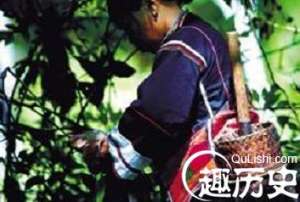 在黎族医药学中都有哪些健康理论呢