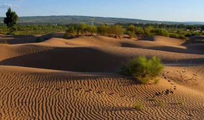 毛乌素沙漠位于现在的哪里？毛乌素沙漠有什么成因及演化历史？