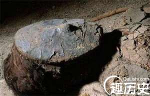 揭秘世界上最古老的木乃伊竟然死于中毒!