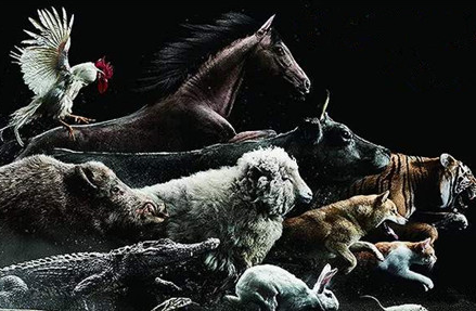 十二生肖是怎么排序的？关于十二生肖排列问题有什么传说？