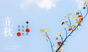 立秋时节的天气有什么特点？农业生产需要注意哪些？