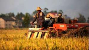 历史上秋分是怎么来的？秋分吃什么传统食物？