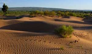 毛乌素沙漠位于现在的哪里？毛乌素沙漠有什么成因及演化历史？