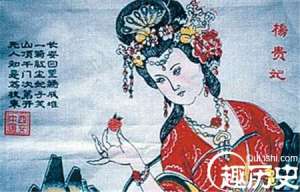 解密唐朝的“荔枝道”：杨贵妃所食荔枝从何处来？