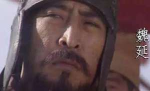 如果诸葛亮采取了魏延的子午谷奇谋，能大笔曹魏吗-