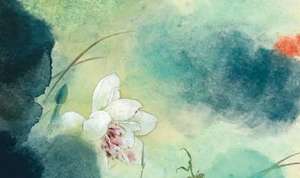 在李清照的《如梦令》一词中，红瘦具体指的是什么花？