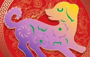 属狗的人性格是怎么样的？属狗的人性格有哪些特点？