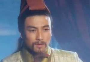 诸葛亮与姜维的北伐在本质上有什么同-真相是什么