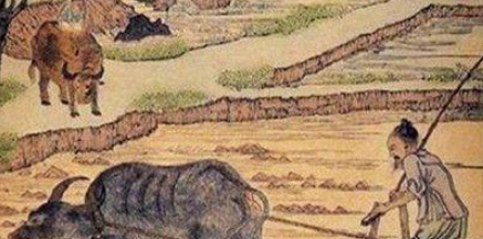 秦国制定了什么土地制度？又为其农业发展起到了什么作用？