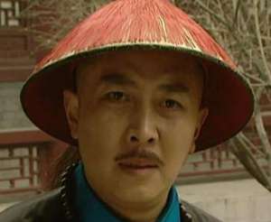 在历史上，李卫在朝时都担任过哪些官职？