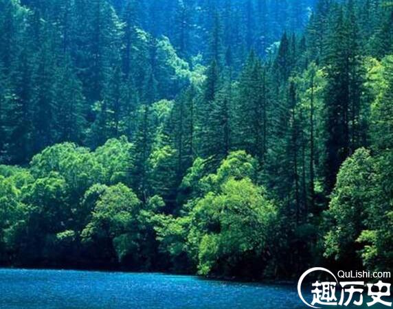 那些小学课本上的插画故事，你现在还记得多少？