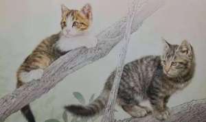 一入猫坑深似海，南宋诗人陆游为猫咪作了哪些诗词？