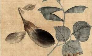 在唐朝时期，茄子除了作为蔬菜之外还有什么作用？