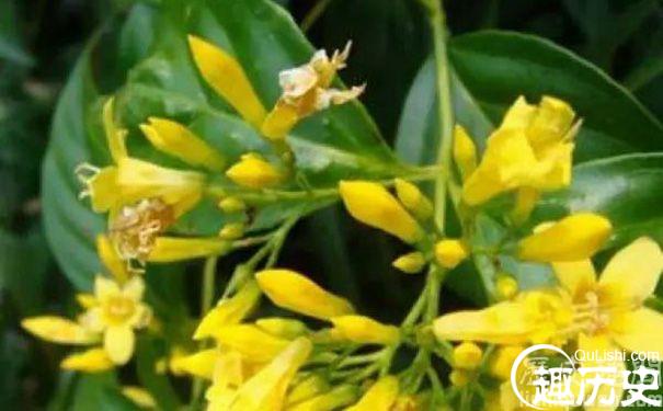 古代的剧毒药物影视剧出现的前三名