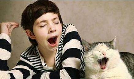 一项研究发现参试者会跟着打哈欠，为什么打哈欠会传染？