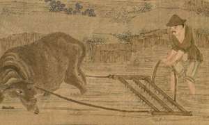 康乾时期农业经济发展的怎么样？