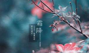 霜降时节各地区的风俗有哪些？这些风俗都是怎么产生的？