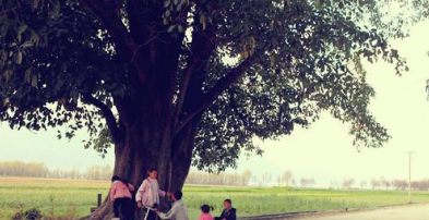 “能在人下为人，不在树下为树”怎么理解？这句谚语的寓意是什么？