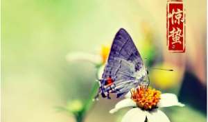 节气惊蛰是什么意思-在惊蛰时适合吃哪些东西-