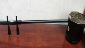 二胡最早始于唐朝，那么现代的低胡有着怎样的历史？