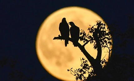 &ldquo;超级月亮&rdquo;在现代人看来，它的产生有哪两个关键点？