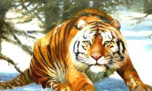 李逵杀四只老虎，为何没有武松打死老虎的含金量高？